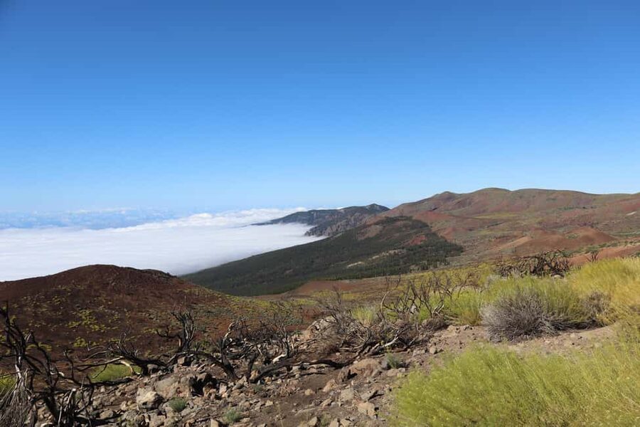 Puerto de la Cruz: Quad Teide National Park - Riding above the sea of clouds: the signature photo moment