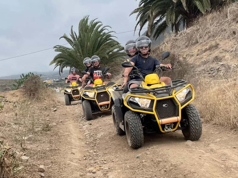 Puerto de la Cruz: Quad Tour to Teide or Off-Road Adventure - Group size, timing, and meeting point reality checks