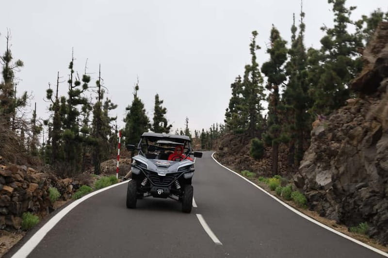Puerto de la Cruz: Teide National Park Buggy Tour - Driving rules, safety gear, and the stuff you must pack