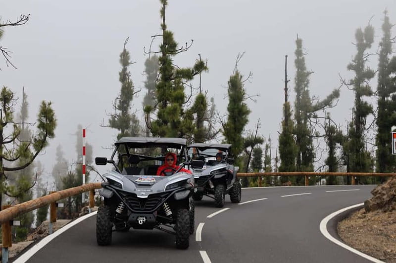 Puerto de la Cruz: Teide National Park Buggy Tour - Above the sea of clouds to the 2200m high point: bring the right attitude