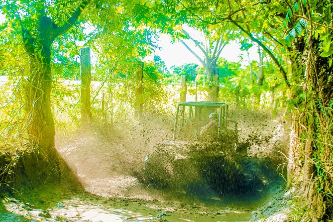 Punta Cana 4 Hours Buggy Tour Cave Macao Beach Free Pick Up - Stop 3: the coffee and cocoa tasting break (and why it matters)