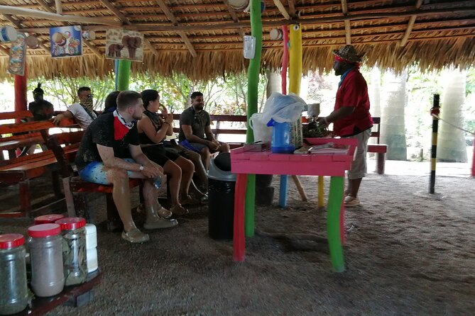 Punta Cana Adventure: Offroad 4x4 ATV - Cave and Macao Beach Dip - What Makes This Tour Good Value at $45