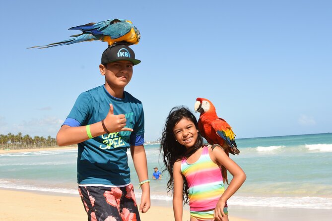 Punta Cana Adventure: Offroad 4x4 ATV - Cave and Macao Beach Dip - Who This ATV Cave and Beach Tour Is Best For