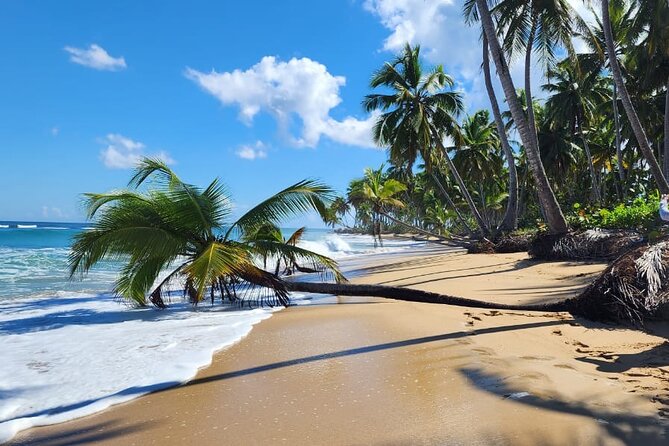 Punta Cana: Amazing ATV Adventure Private Road & Beach W/ PickUp - ATV Adventure in Punta Cana: what this day is really like