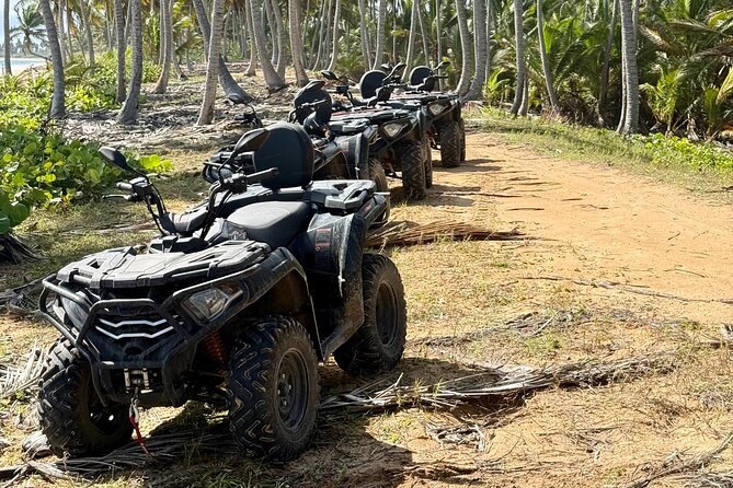 Punta Cana ATV: Jungle, Beach & River Small Group Tour - What You Pay for $87.99: Value, Time, and Included Stops