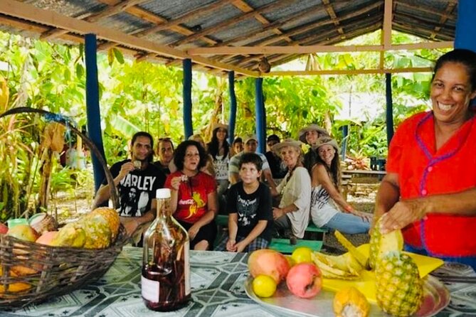 Punta Cana Buggy Adventure - Cenote Swim and Cacao Production: Culture You Can See and Smell