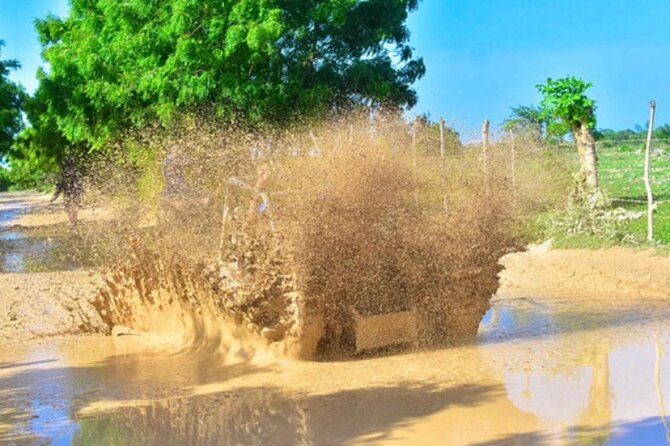 Punta Cana Funtastic Adventure Buggy Half Day Macao Beach - Food included: why it helps families and busy schedules