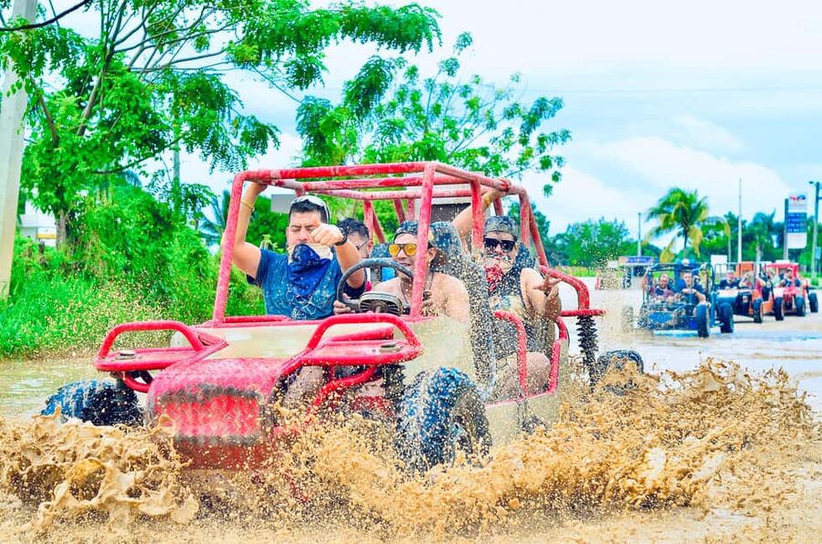 Punta Cana: Half-Day Buggy Tour with PickUp & Macao Beach - The organic farm stop: coffee, chocolate, mamajuana, and cigars
