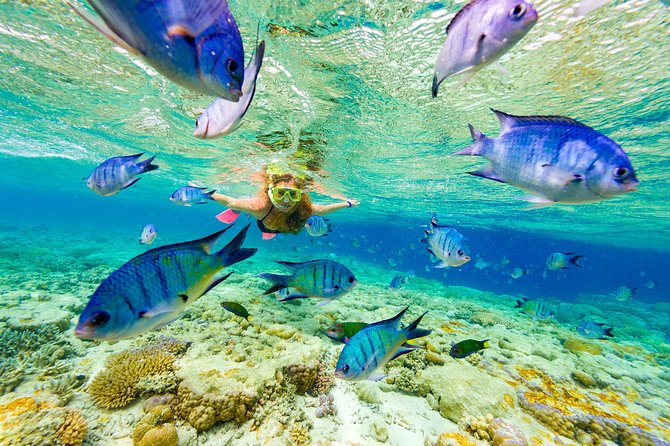 Punta Cana Snorkeling Cruise and Dune buggy Combo Adventure - Quick hits before you go