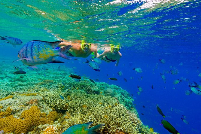 Punta Cana Snorkeling Cruise and Dune buggy Combo Adventure - Los Hoyos del Salado cenote: cool water and easy wow factor