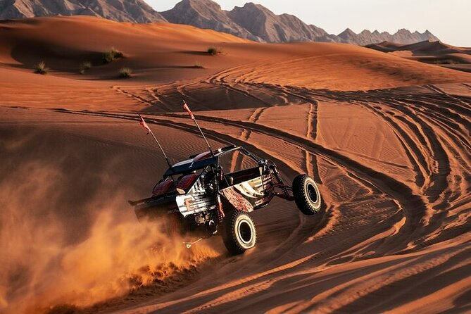 Qatar Desert Thrills Self Ride Dune Buggy Safari and Camel Ride - Quick Hits Before You Go