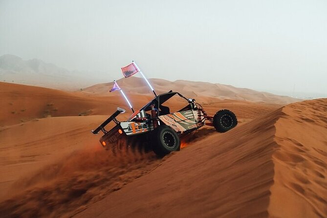 Qatar Desert Thrills Self Ride Dune Buggy Safari and Camel Ride - After the Buggy: Camel Ride Expectations and Timing