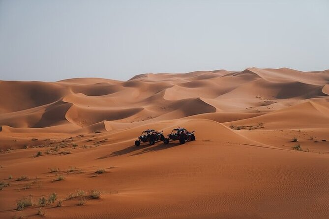 Qatar Desert Thrills Self Ride Dune Buggy Safari and Camel Ride - Who This Qatar Desert Thrills Combo Fits Best