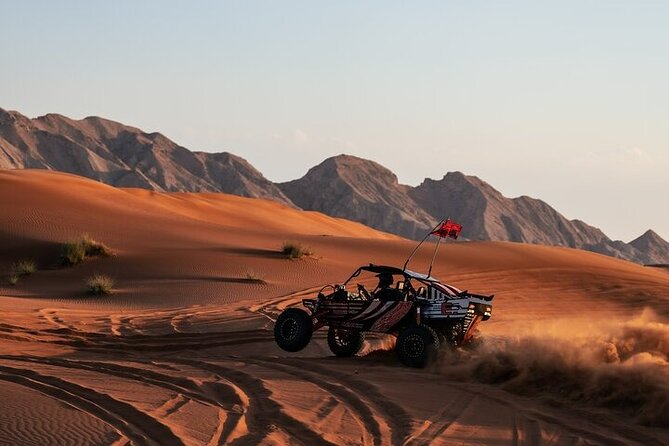 Qatar Desert Thrills Self Ride Dune Buggy Safari and Camel Ride - Practical Tips That Make a Difference on Dunes