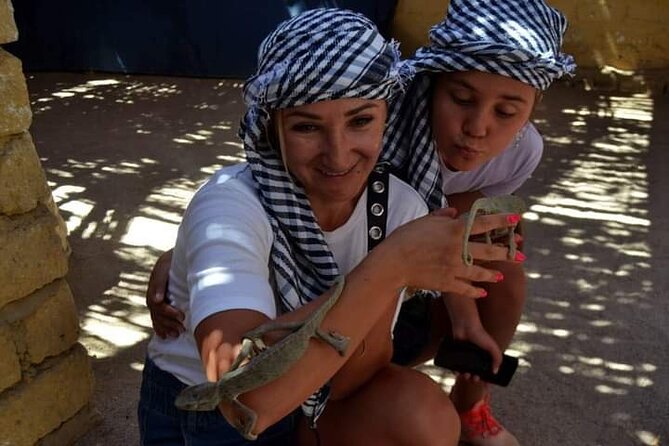 Quad 3 hours VIP safari adventure Hurghada - Bedouin village tea and camel ride: what you actually get