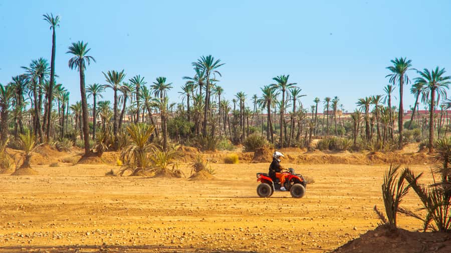 Quad Bike Activity in Marrakech Palmeraie - Equipment and insurance: what’s included and why it matters