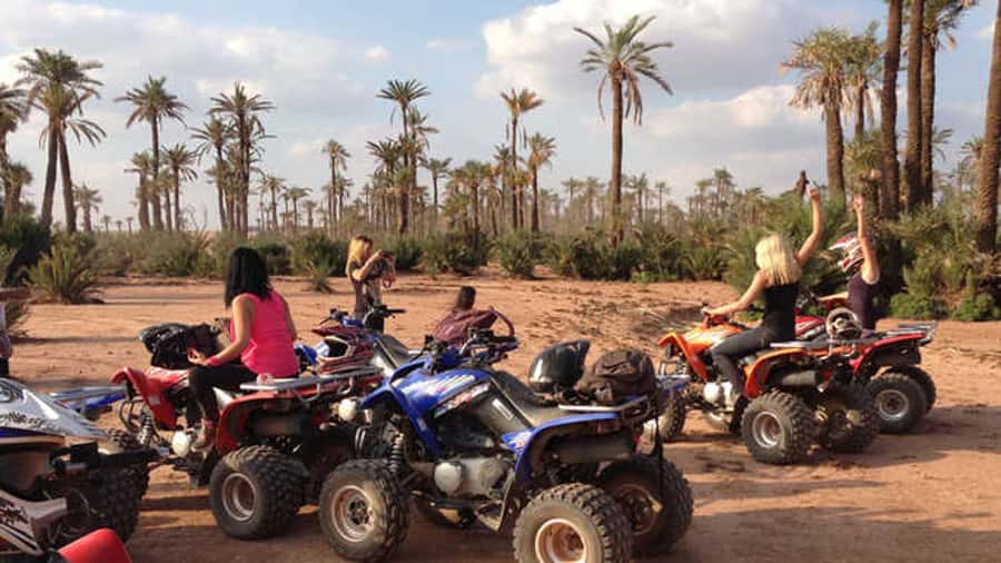 Quad Bike Activity in Marrakech Palmeraie - Price and value: is $30 per person fair?