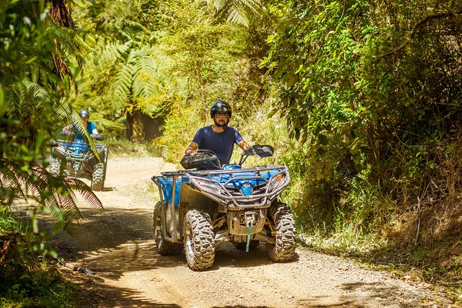 Quad Bike - Bayview Circuit - The 2.5-Hour Flow: Briefing, Practice Track, Then the 14 km Circuit