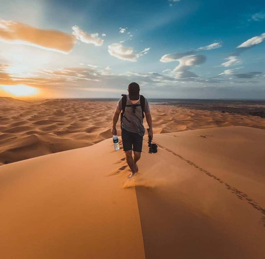 Quad Bike/Buggy, Desert Safari, Camel Ride, Dune Bashing - Camel ride and Bedouin culture: quick, meaningful, and respectful