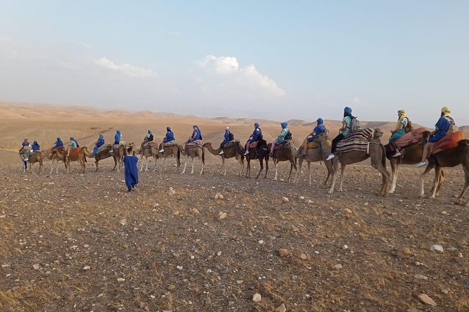 Quad bike & Camel ride Agafay & dinner at Chouf L’Or Restaurant - Dinner at Chouf L’Or: Moroccan comfort food with options for most tastes
