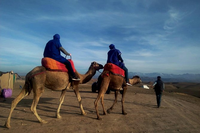 Quad bike & Camel ride Agafay & dinner at Chouf L’Or Restaurant - Getting going from Marrakech: 3 pm start, pickup, and small-group flow