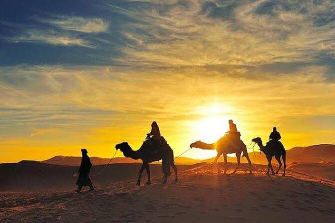 Quad Bike & Camel Ride & Dinner Show In Agafay Desert - Quad Biking in Agafay Dunes: Fun First, Then Rules