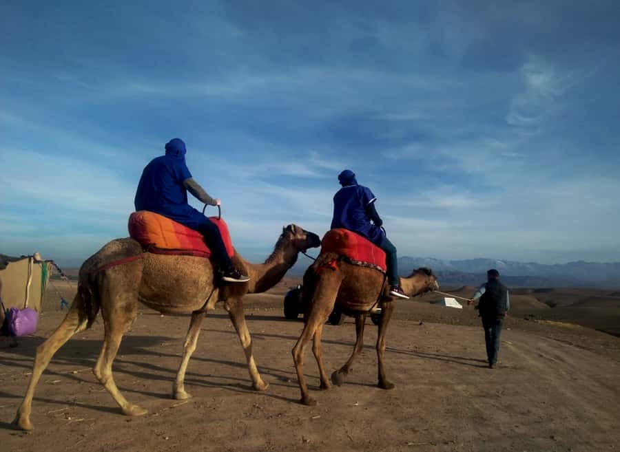 Quad bike & Camel ride in Agafay with dinner at Chouf L’or - Camel ride at sunset: the slow contrast that makes the day work