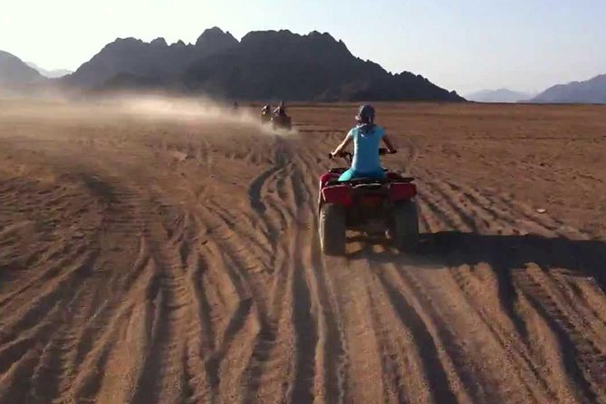 Quad bike Safari In Sharm El Sheikh - Photo and camel sales pressure: how to keep it enjoyable