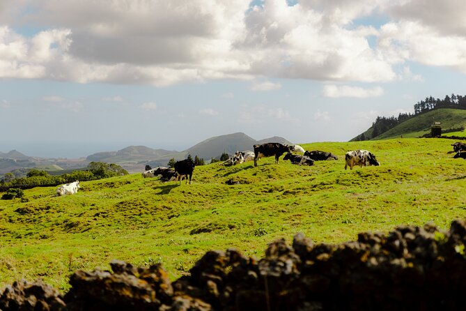 Quad Bike Tour - Lagoa de Fogo (Half Day) - Price and Time: Does $86 Make Sense for a Half Day?