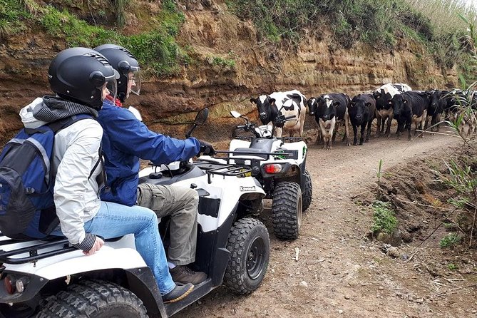 Quad Bike Tour - Sete Cidades from North Coast (Full Day) with lunch - Meeting point: starting your Sete Cidades quad day from Ponta Delgada