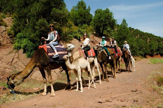 Quad Biking and Camel Ride Guided Day Trip from Marrakech - What’s Included (And Why That Matters for Value)