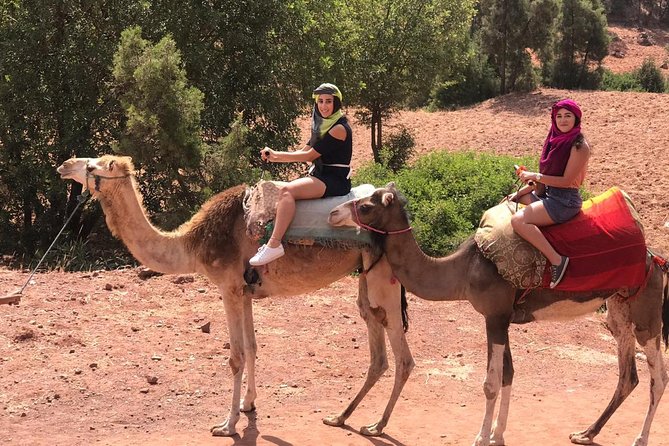 Quad Biking and Camel Ride Guided Day Trip from Marrakech - Tafza Berber House Visit: Mint Tea, Breakfast, and Roof Views
