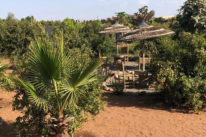 Quad Biking and Sandboarding on Sand Dunes Wild Beach - Tea Break with Berber Mint: The Reset You’ll Be Glad You Took