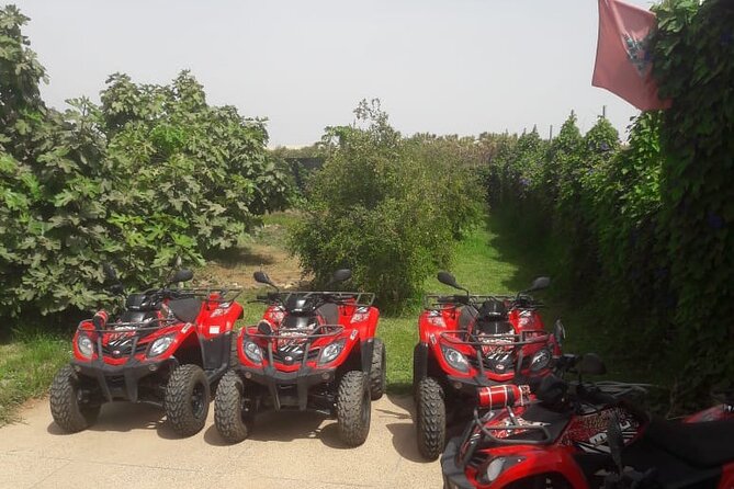 Quad Biking and Sandboarding on Sand Dunes Wild Beach - Should You Book This Tifnit Quad Biking and Sandboarding Tour?