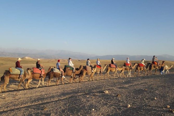 Quad Biking & camel ride Agafay desert with Lunch or dinner - Quad Biking Across the Plateau: Thrills Without Needing Experience