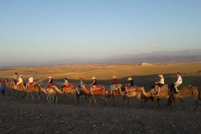 Quad Biking & camel ride Agafay desert with Lunch or dinner - Price and Value: Why $33.68 Can Make Sense