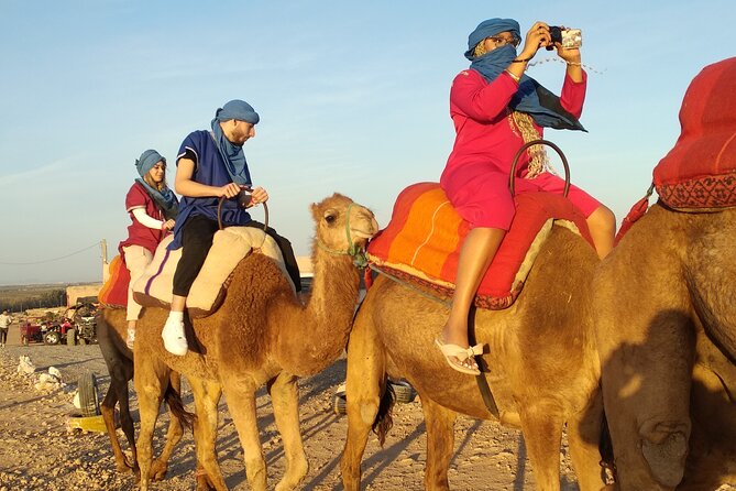 Quad Biking & camel ride Agafay desert with Lunch or dinner - Weather and Animal Care: Two Things You Should Pay Attention To
