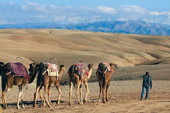Quad Biking & Camel Ride in Agafay Desert with Dinner Show - Hotel pickup and the air-conditioned ride out of the red city