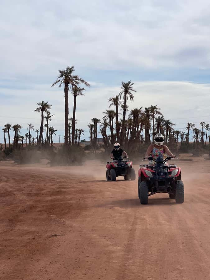 Quad biking in Marrakech's desert palm grove - The best parts—and the trade-offs worth knowing