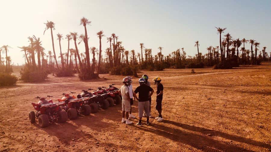 Quad biking in Marrakech's desert palm grove - How the 2-hour experience really feels (and why it varies)