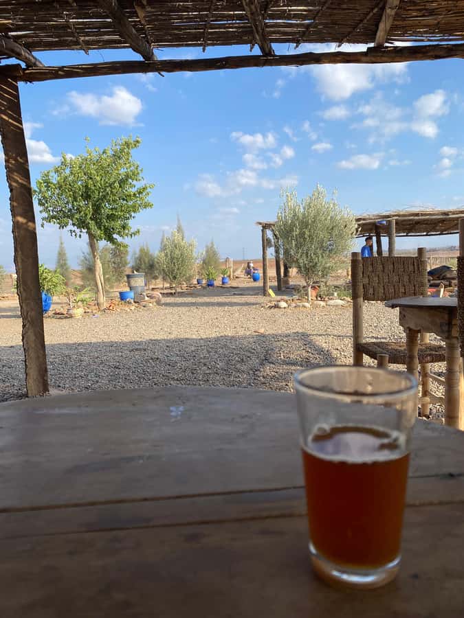 Quad biking in Marrakech's desert palm grove - Photo break: where your pictures get a second chance