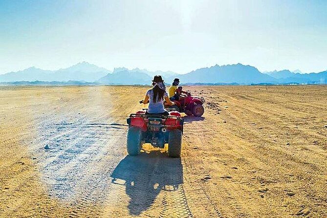 Quad Biking Safari-Camel Ride-Bedouin Dinner and Shows From Sharm - Should You Book This Sharm Quad, Camel, and Bedouin Dinner?