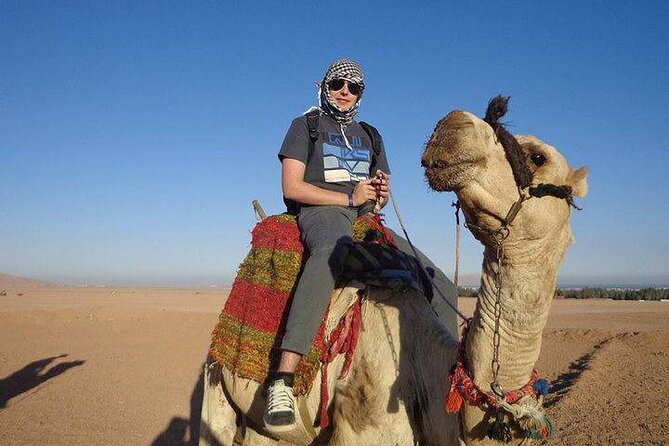 Quad Biking Safari-Camel Ride-Bedouin Dinner and Shows From Sharm - Bedouin Dinner and Campfire Shows: Food, Atmosphere, and What’s Included