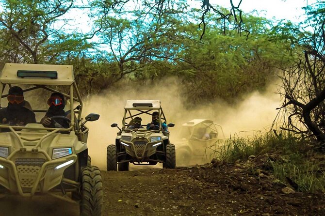 Quad Buggy Excursion Tour - Key highlights worth clocking
