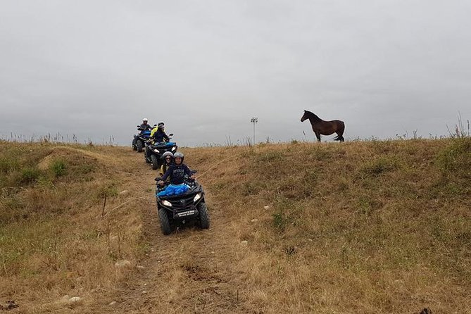 Quad excursion Hinterland Sciacca and Ribera - Safety and skill level: fun with guardrails