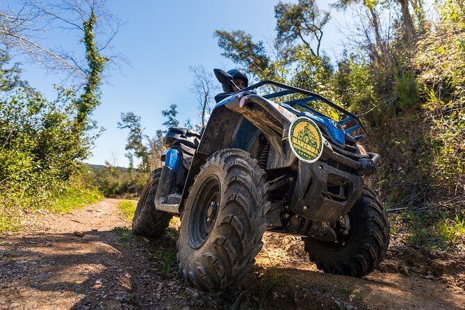 Quad excursion in the Maremma with barbecue in the woods - Price and Value: Why $96.11 Makes Sense for a Ride + Meal Combo