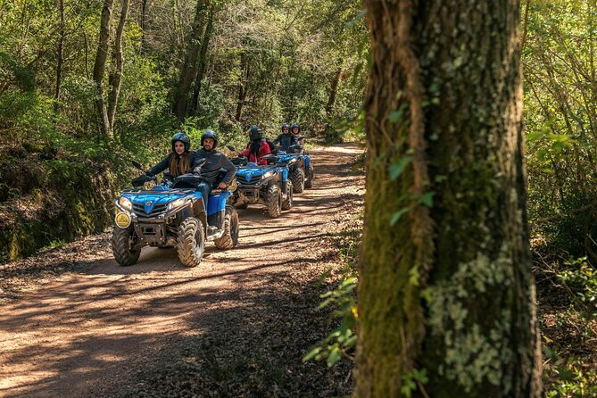 Quad excursion in the Maremma with barbecue in the woods - Should You Book It? My Simple Decision Guide