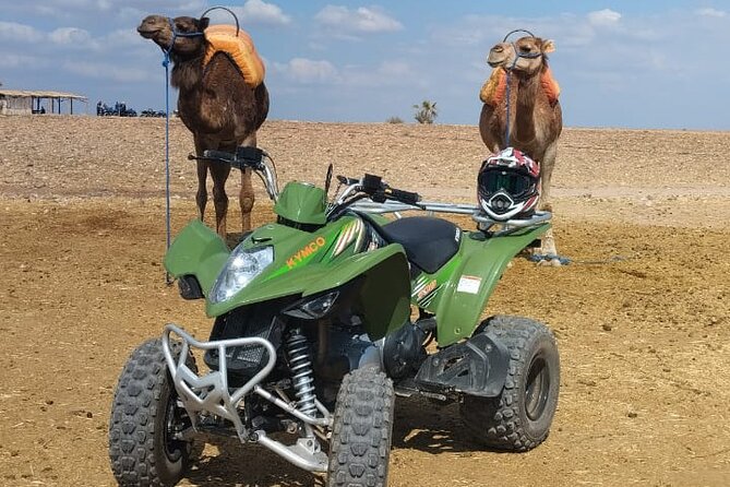 Quad in the Palmeraie of Marrakech - Start where Marrakech fades: pickup to the Palmeraie