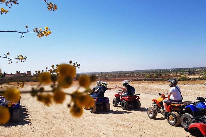 Quad Marrakech - The Green Tea Break: Small Pause, Big Cultural Credit