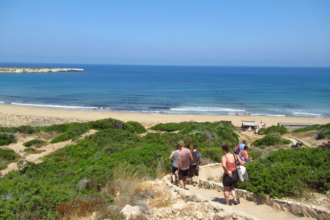 Quad or Buggy Tour from Coral Bay to Akamas Forest - Should you book it? My quick decision guide